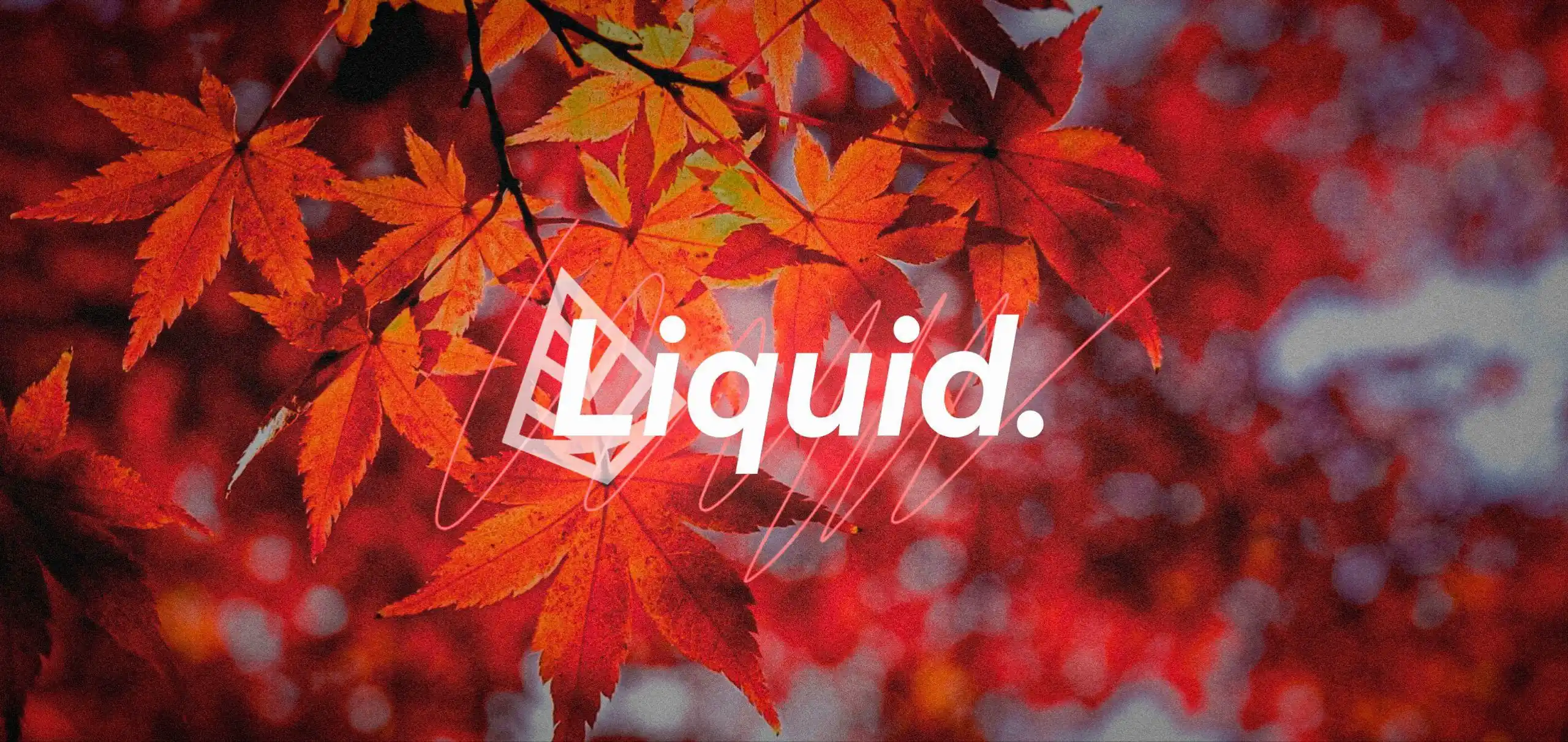 Logo of Liquid Kernel project